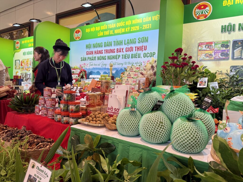 Xu hướng tiêu dùng toàn cầu đang dịch chuyển mạnh mẽ sang các sản phẩm có tính minh bạch cao, đáp ứng tiêu chuẩn xanh và bền vững. Ảnh VGP, Đỗ Hương